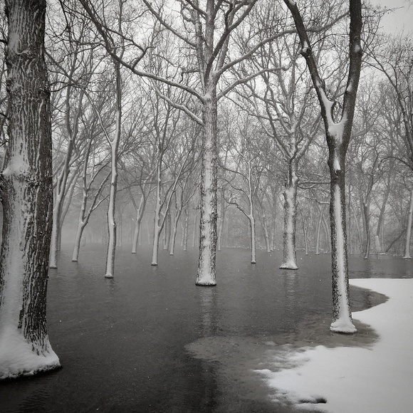 Meet your Posher, Carrie - Picture 15 of 16